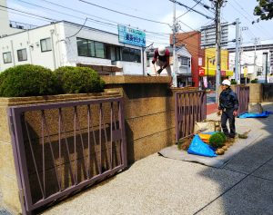 タマイブキ植栽工事